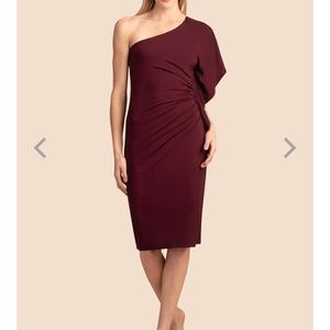 NWT Trina Turk ratio dress in beautiful maroon!